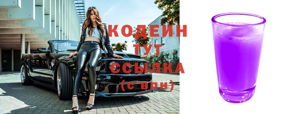 стафф Каменка