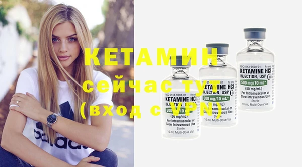 стафф Каменка