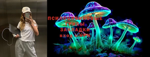 амф Каменногорск