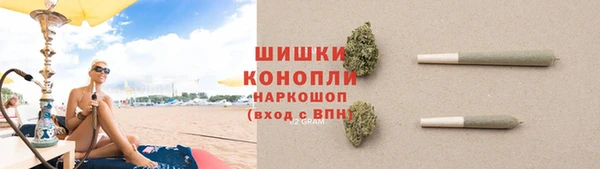 стафф Каменка