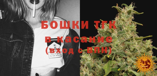 мет Инта