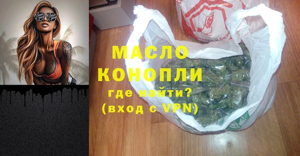 мет Инта