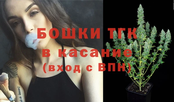 стафф Каменка