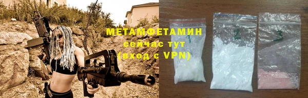 прущие грибы Инсар
