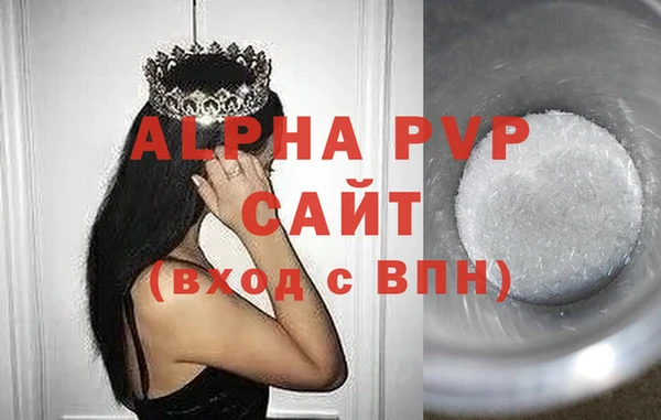 амф Каменногорск