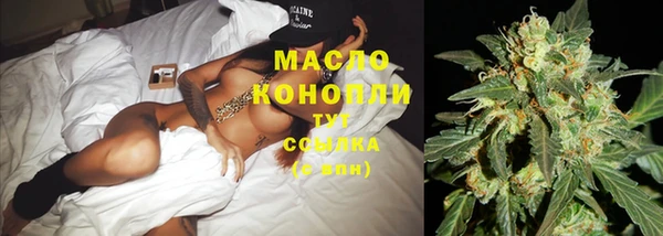 мет Инта