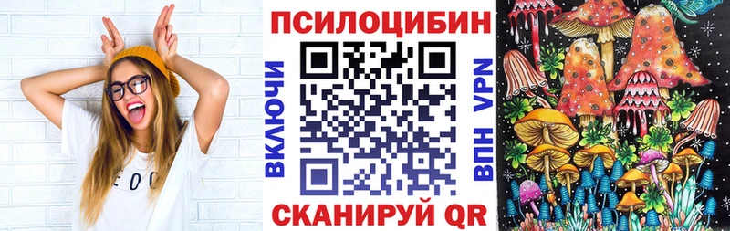 Псилоцибиновые грибы мухоморы  Купить закладки  Кольчугино 